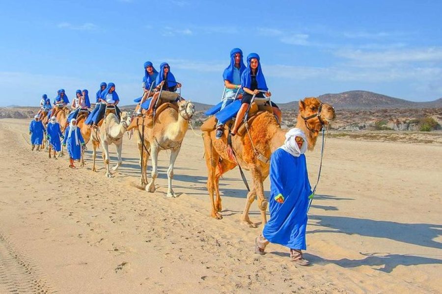 Camel Ride in Agadir
