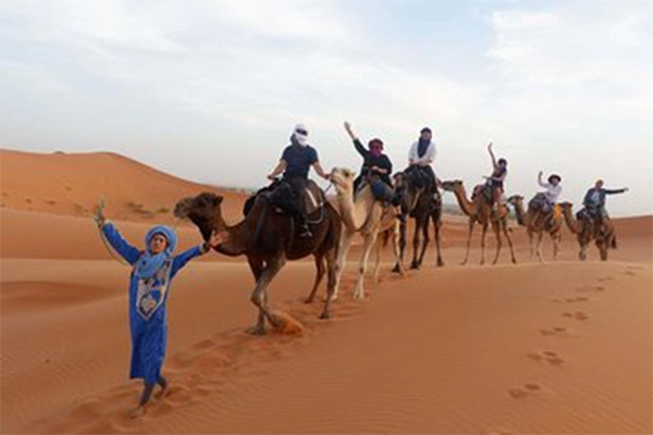 Desert & Safari Adventures