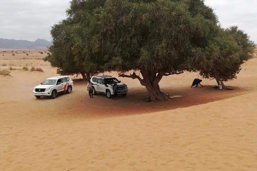 Day Trip to Massa & Tiznit From Agadir