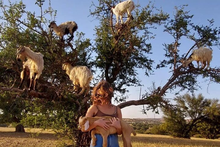 Nature & Discovery Tours